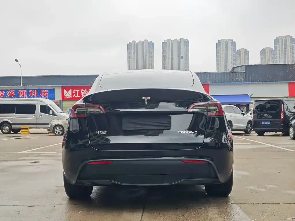 Tesla Model Y — фото 8