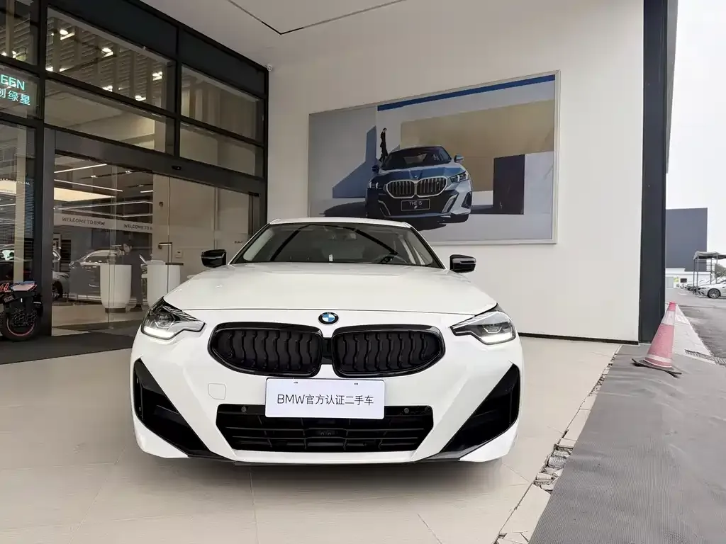 BMW 2 Series (Import) 2024 из CN, фото 9