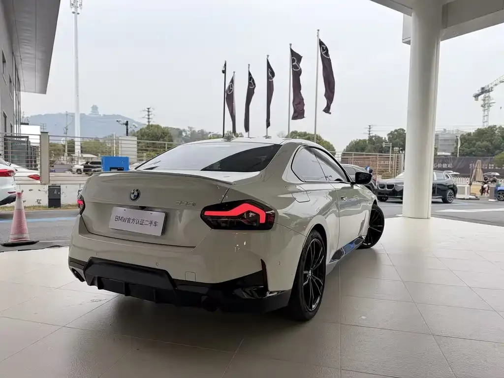 BMW 2 Series (Import) 2024 из CN, фото 10