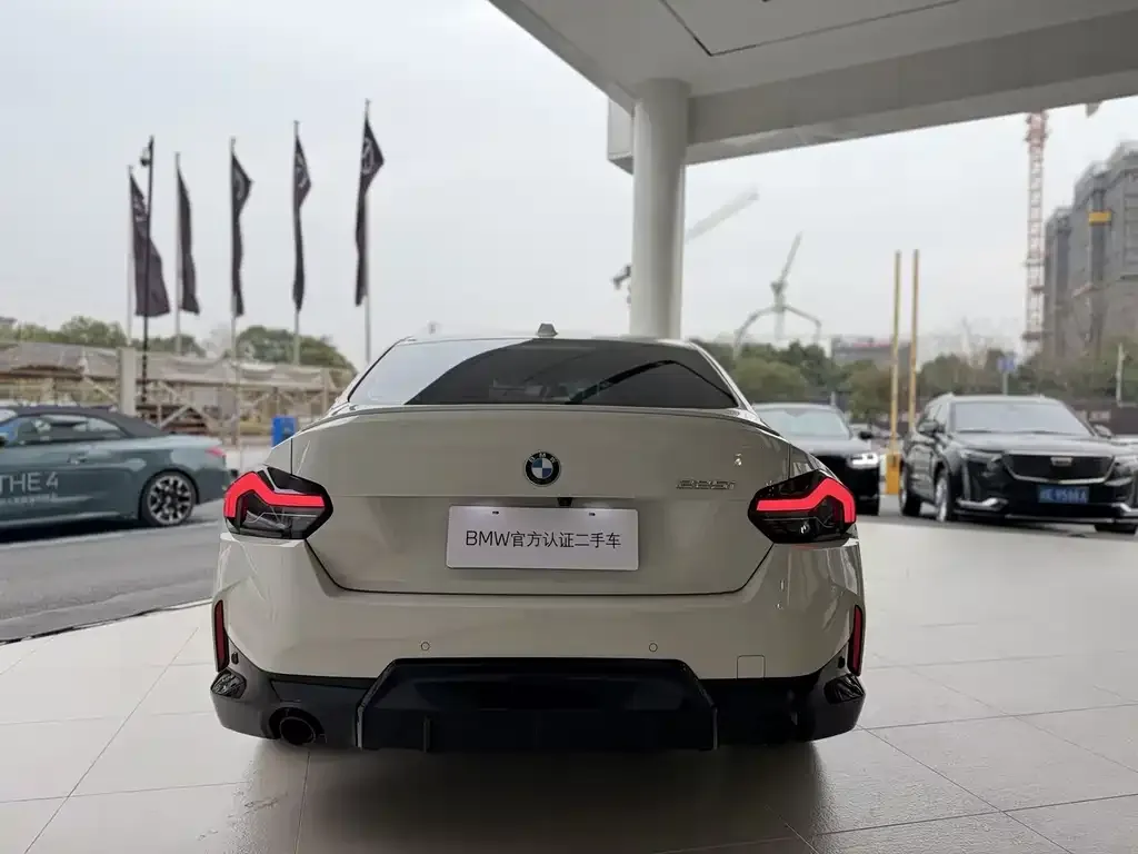 BMW 2 Series (Import) 2024 из CN, фото 2