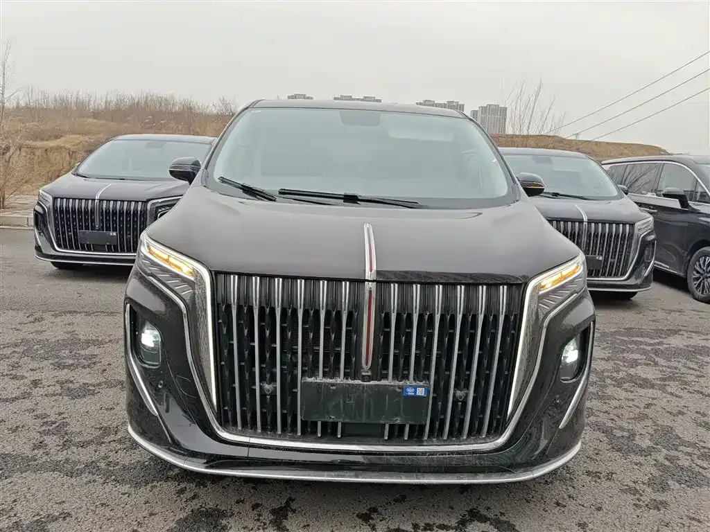 Hongqi HQ9 PHEV 2024 из CN, фото 5