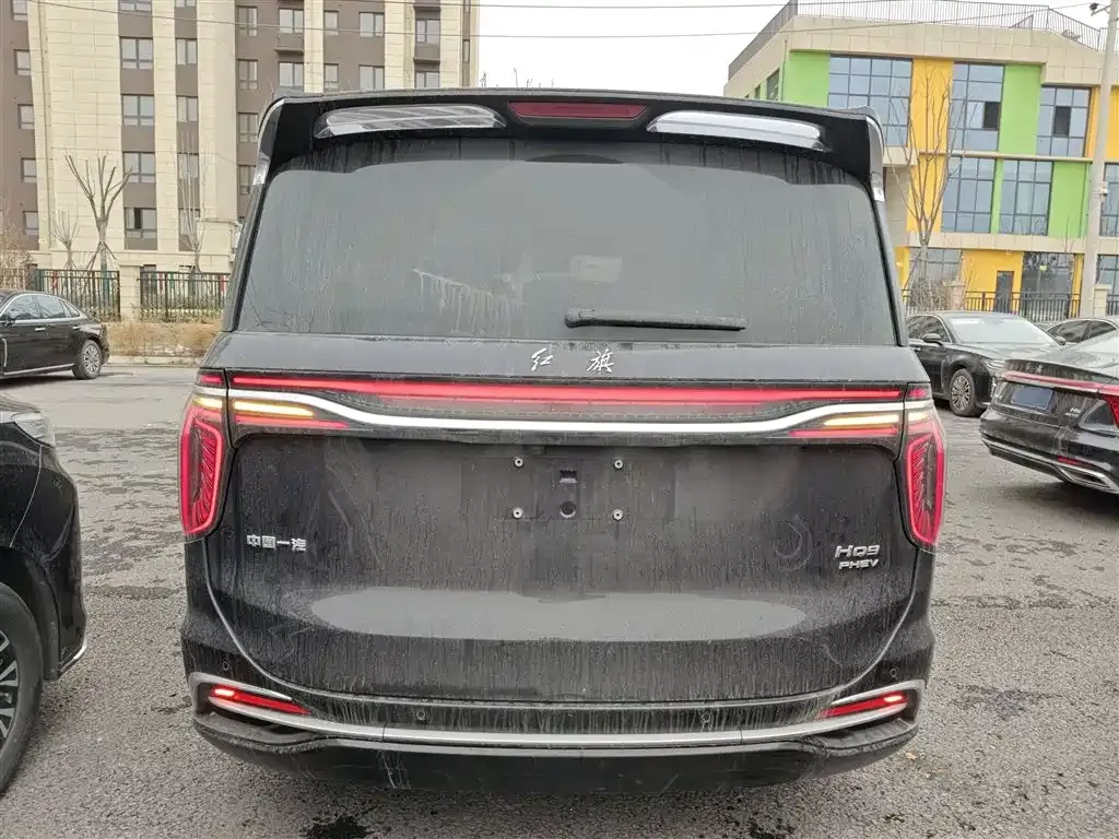 Hongqi HQ9 PHEV 2024 из CN, фото 4
