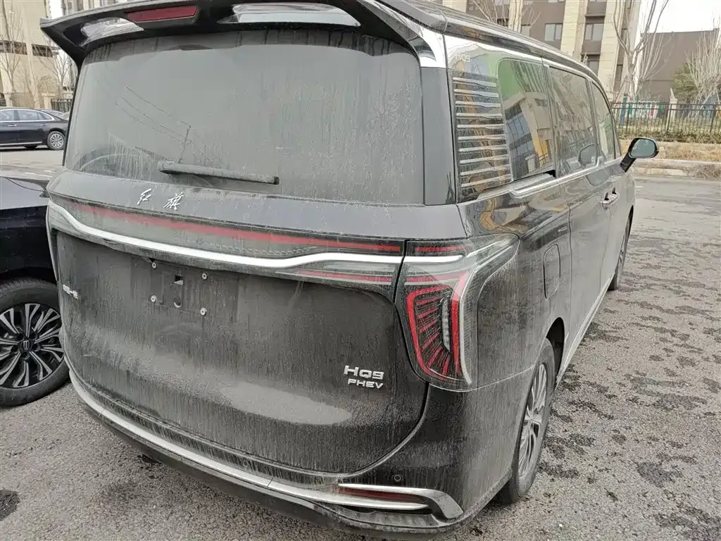 Hongqi HQ9 PHEV 2024 из CN, фото 10