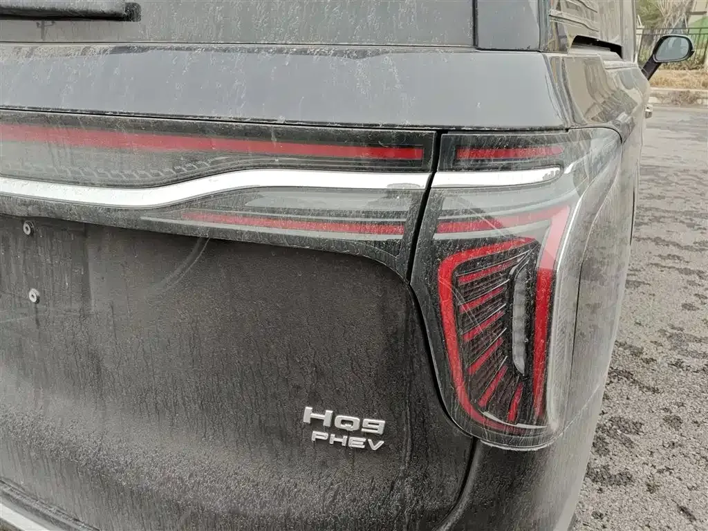Hongqi HQ9 PHEV 2024 из CN, фото 8