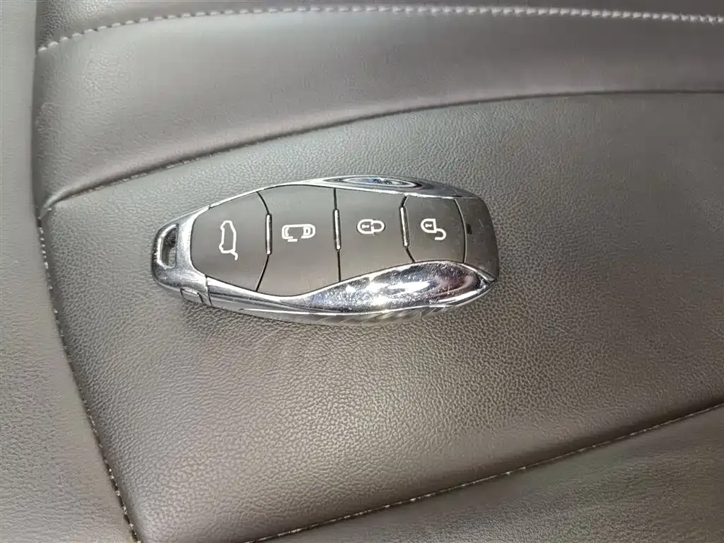 Hongqi HQ9 PHEV 2024 из CN, фото 2