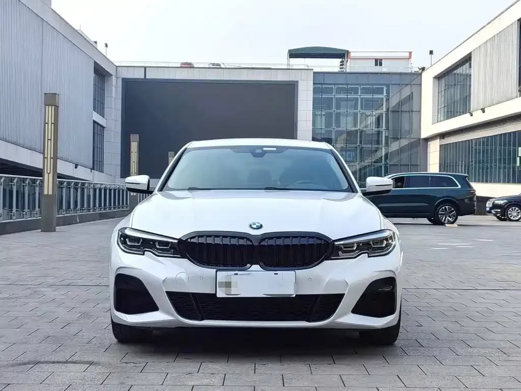 BMW 3 Series 2021 из CN, фото 8