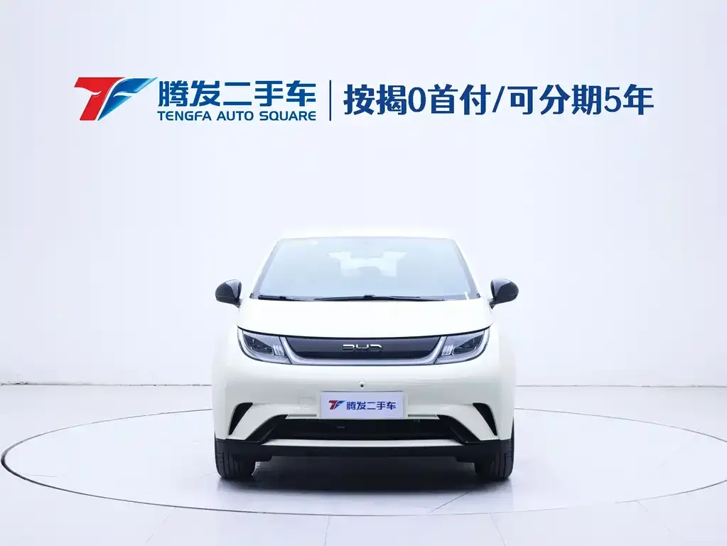 [object Object] Dolphin 2025 из CN, фото 2