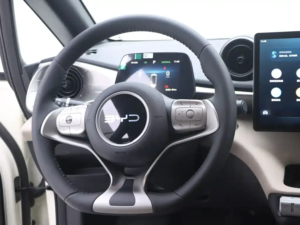 [object Object] Dolphin 2025 из CN, фото 9