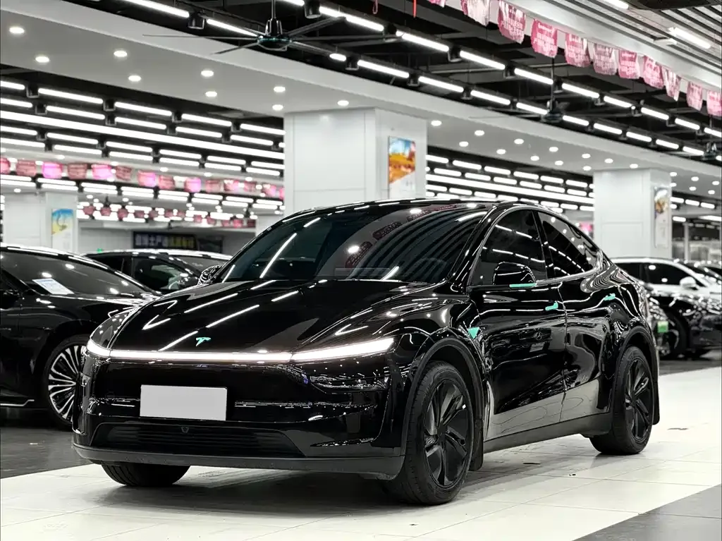 Tesla Model Y 2025 из CN, фото 1