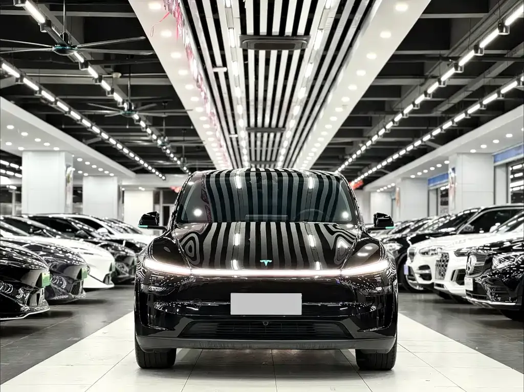 Tesla Model Y 2025 из CN, фото 7