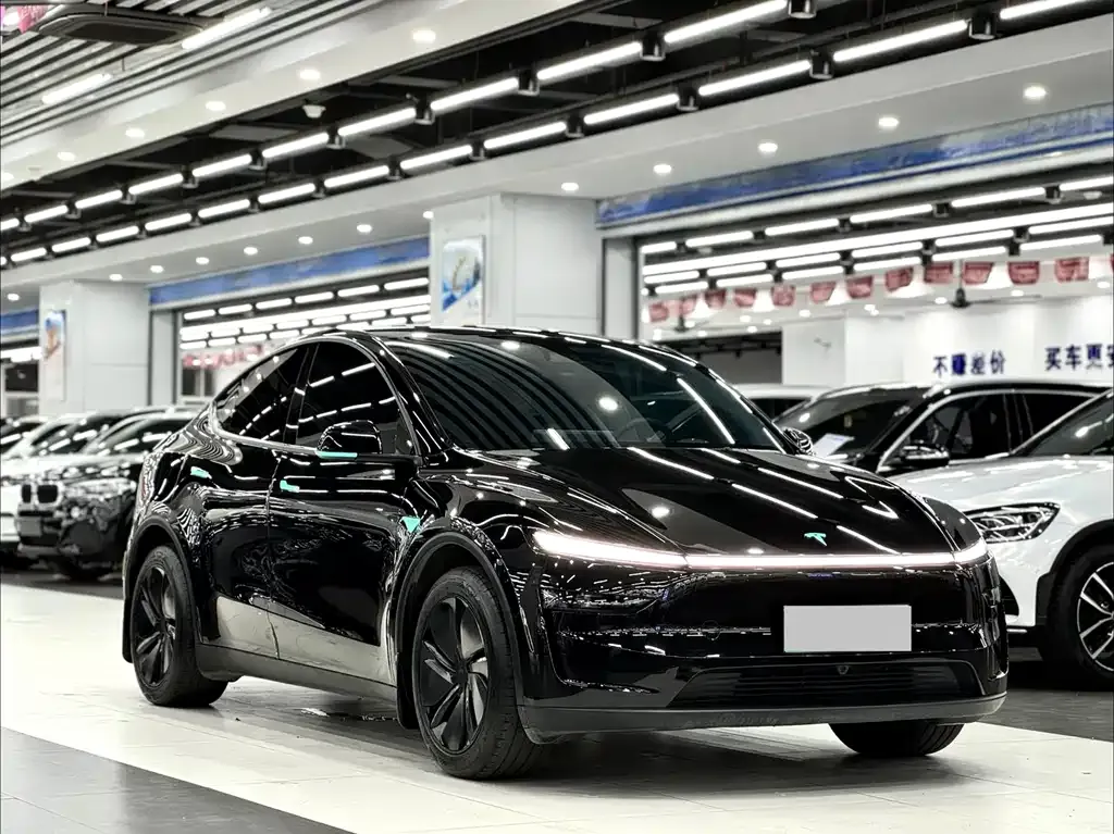 Tesla Model Y 2025 из CN, фото 6