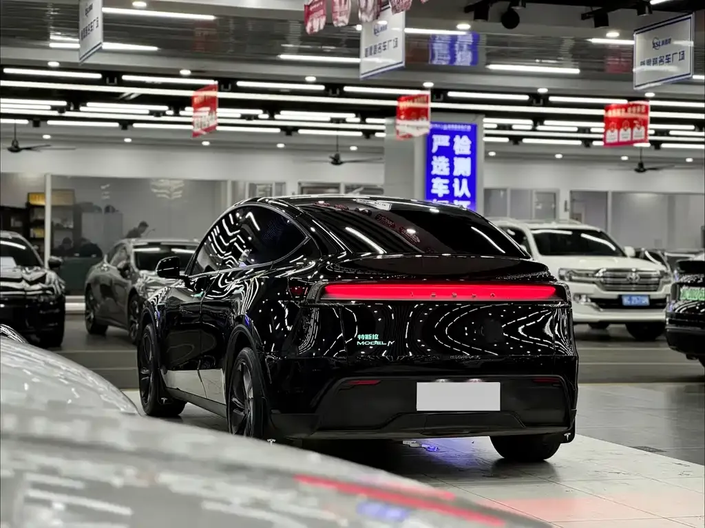 Tesla Model Y 2025 из CN, фото 5