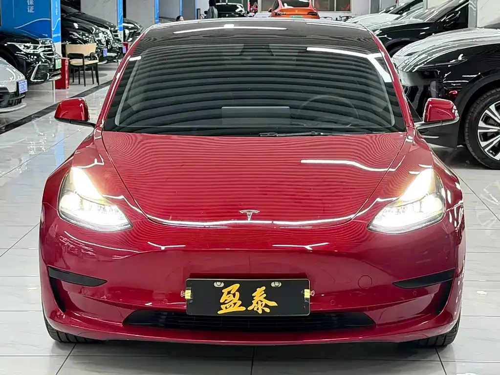 Tesla Model 3 2021 из CN, фото 8
