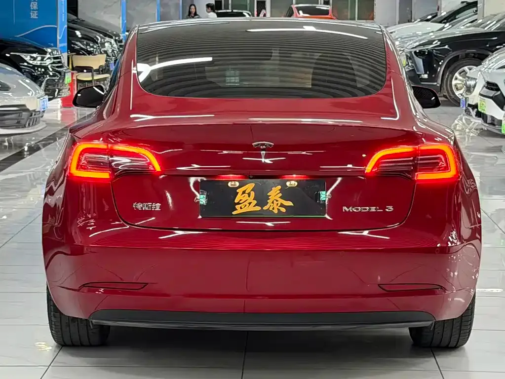 Tesla Model 3 2021 из CN, фото 5