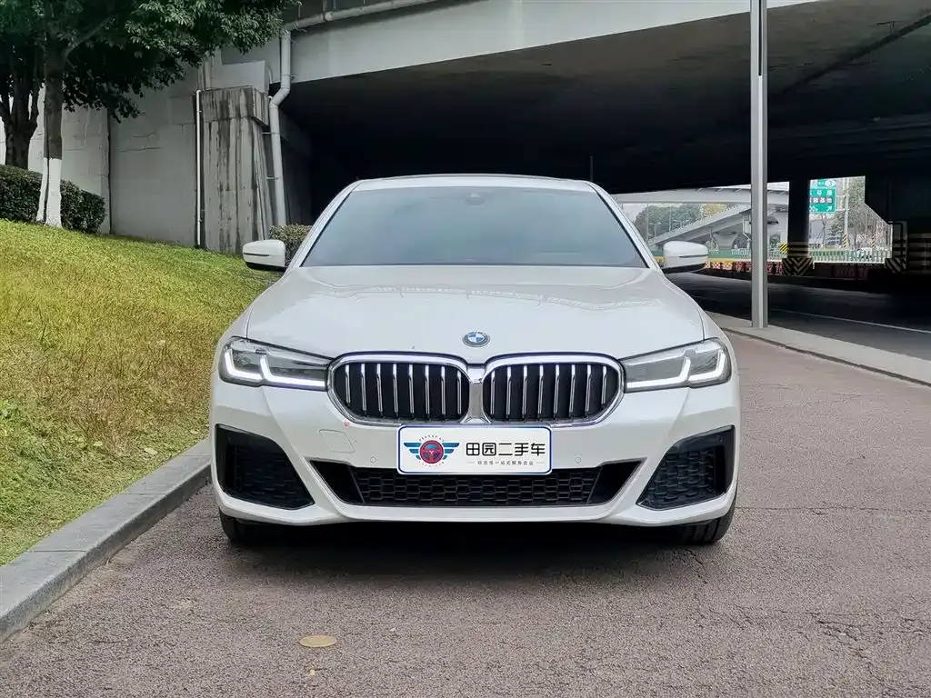 BMW 5 Series 2023 из CN, фото 8
