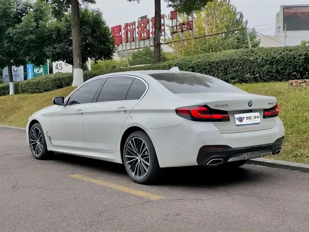 BMW 5 Series 2023 из CN, фото 9