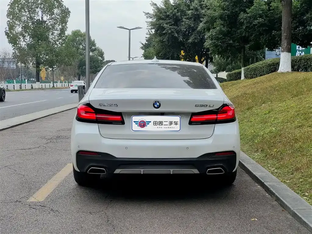 BMW 5 Series 2023 из CN, фото 6