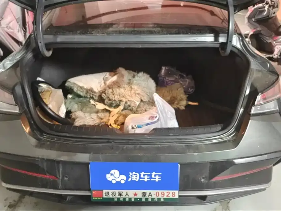 Hyundai Elantra 2024 из CN, фото 8