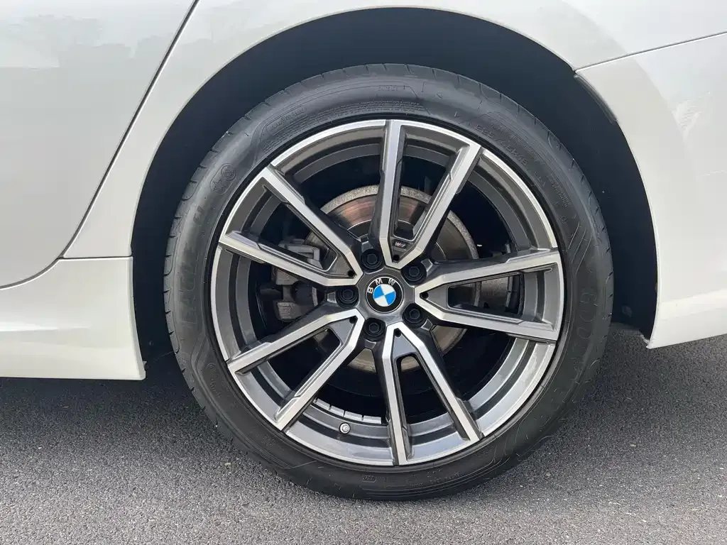 BMW 3 Series 2022 из CN, фото 10