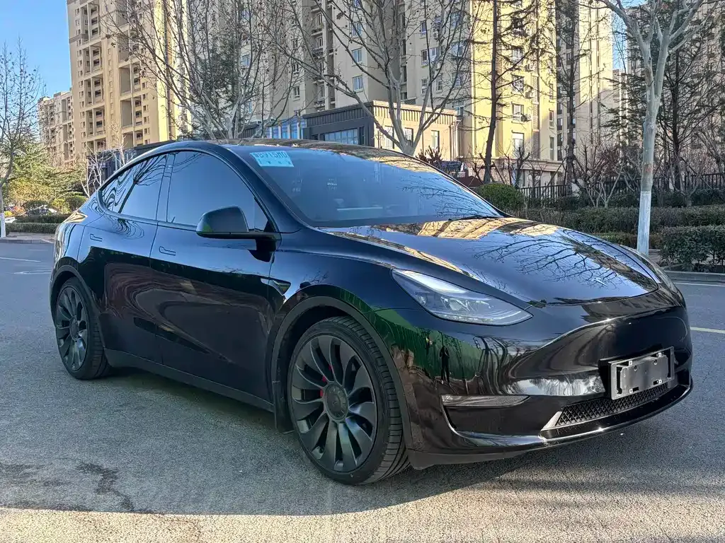 Tesla Model Y 2022 из CN, фото 7