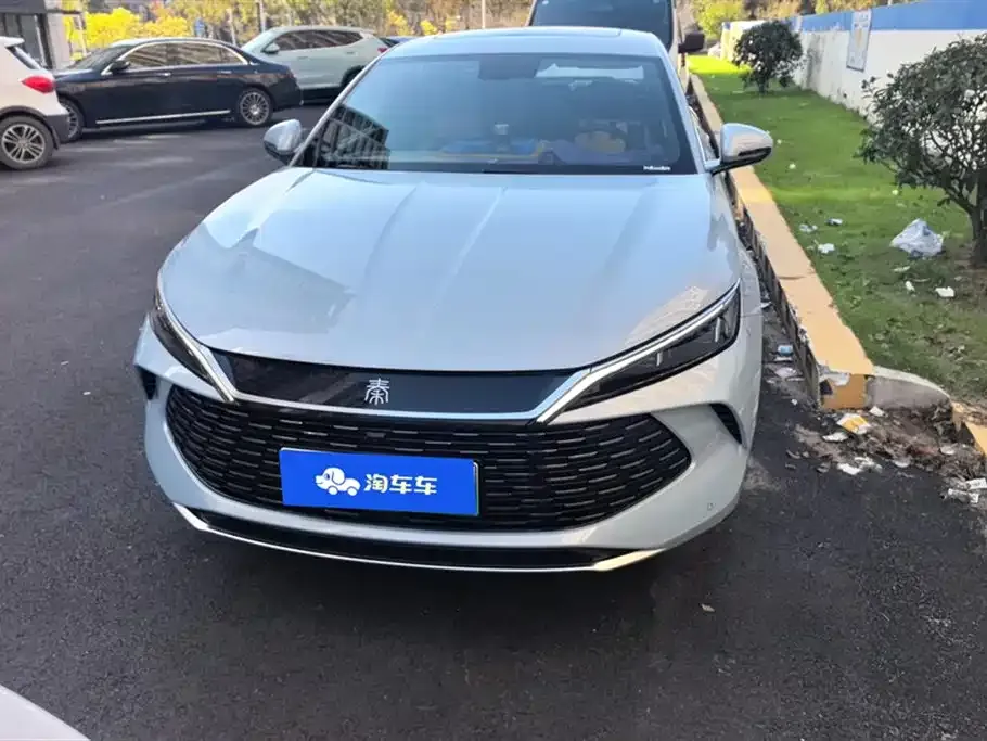 BYD Qin L 2024 из CN, фото 10
