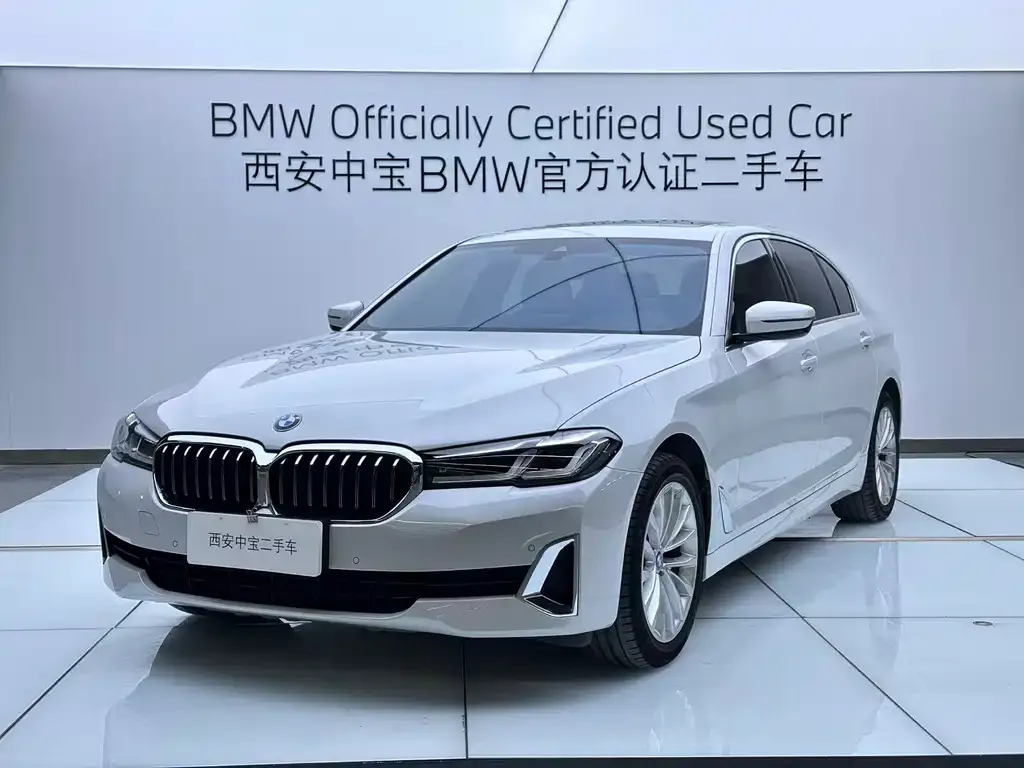BMW 5 Series 2021 из CN, фото 1