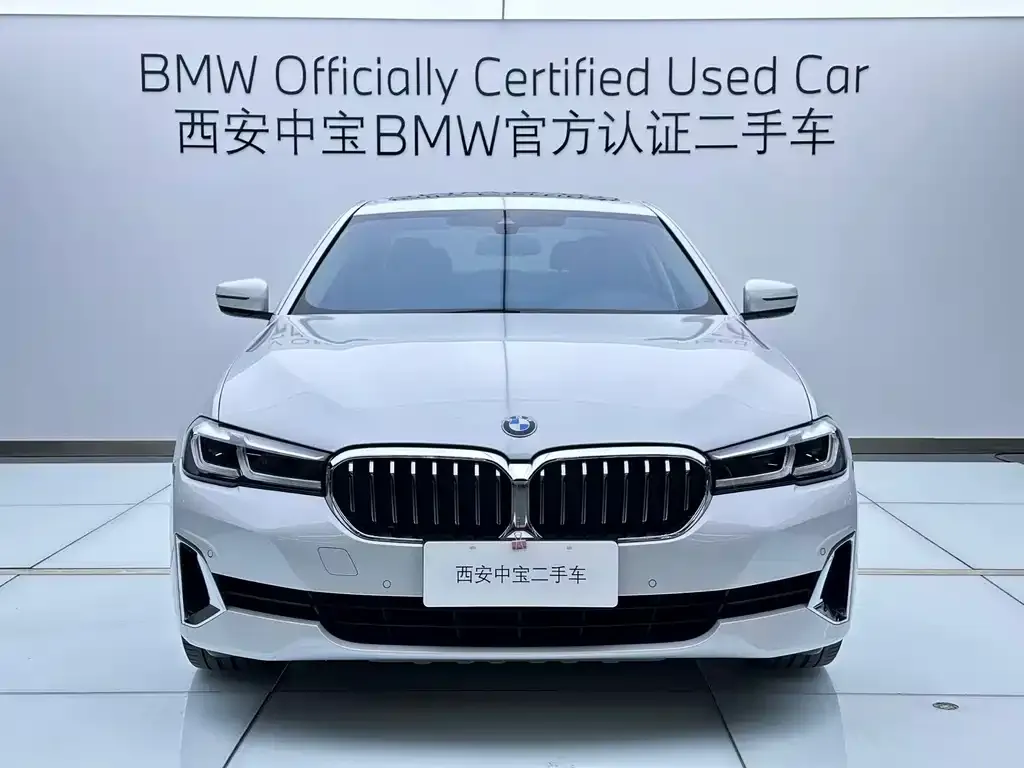 BMW 5 Series 2021 из CN, фото 3