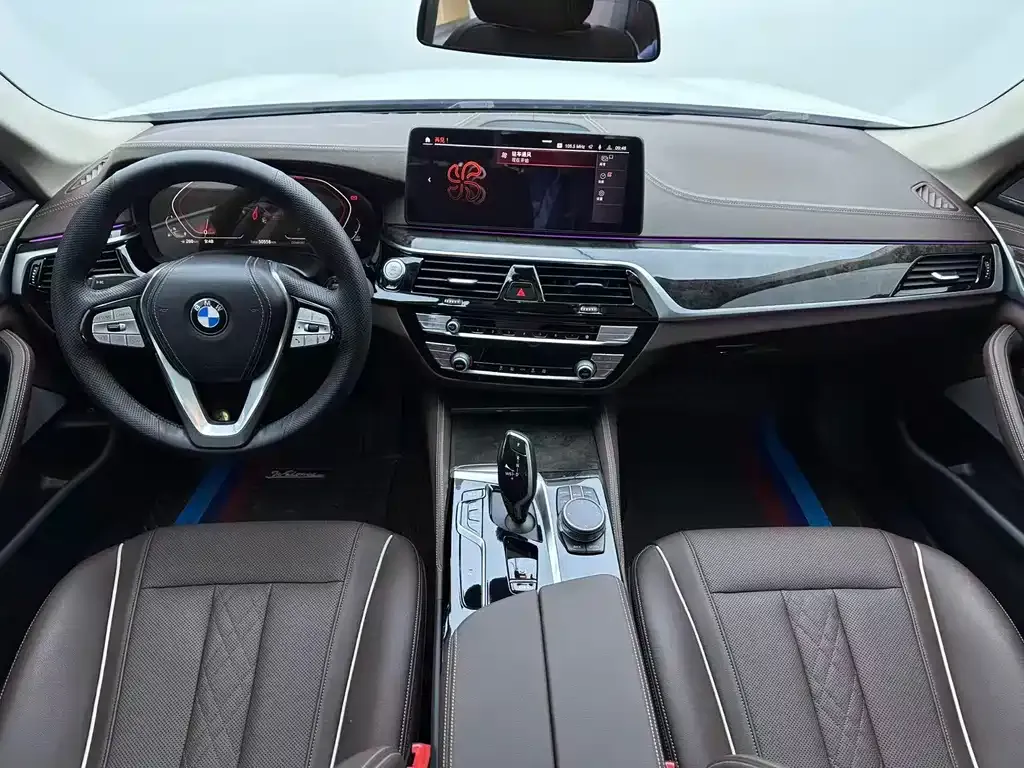 BMW 5 Series 2021 из CN, фото 6