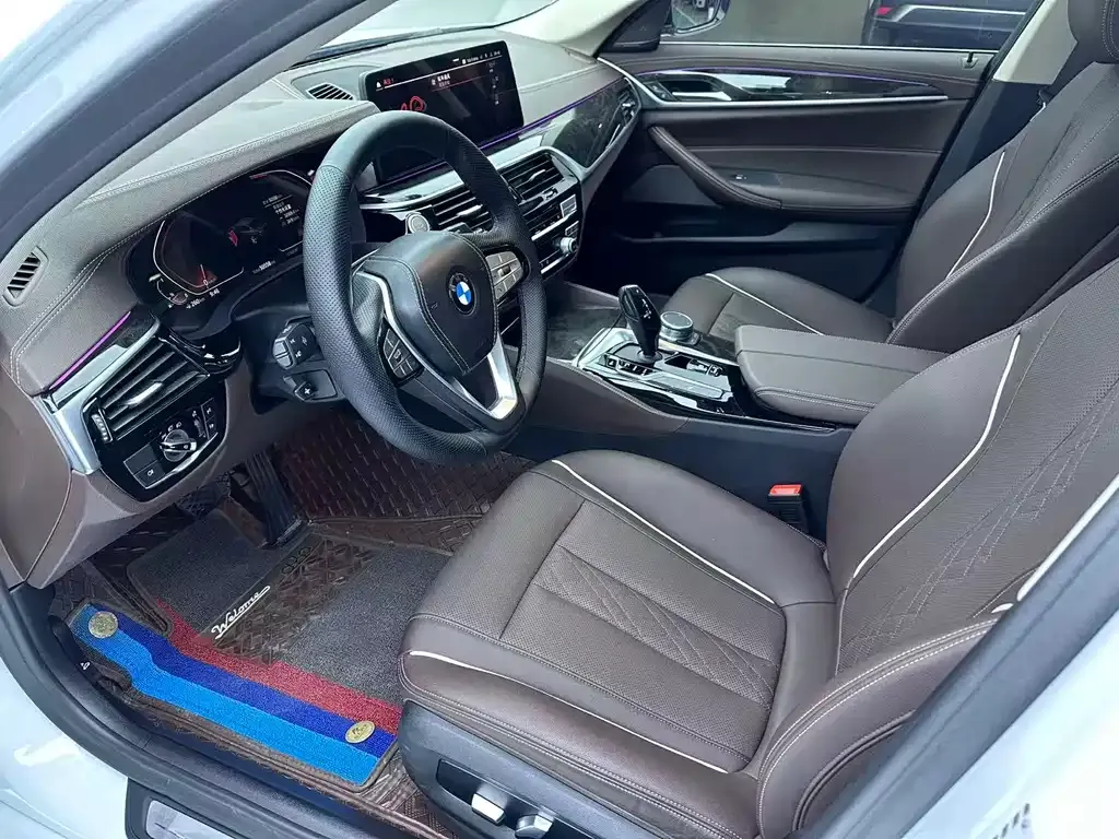 BMW 5 Series 2021 из CN, фото 8