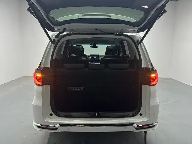 Honda Elysion 2023 из CN, фото 2