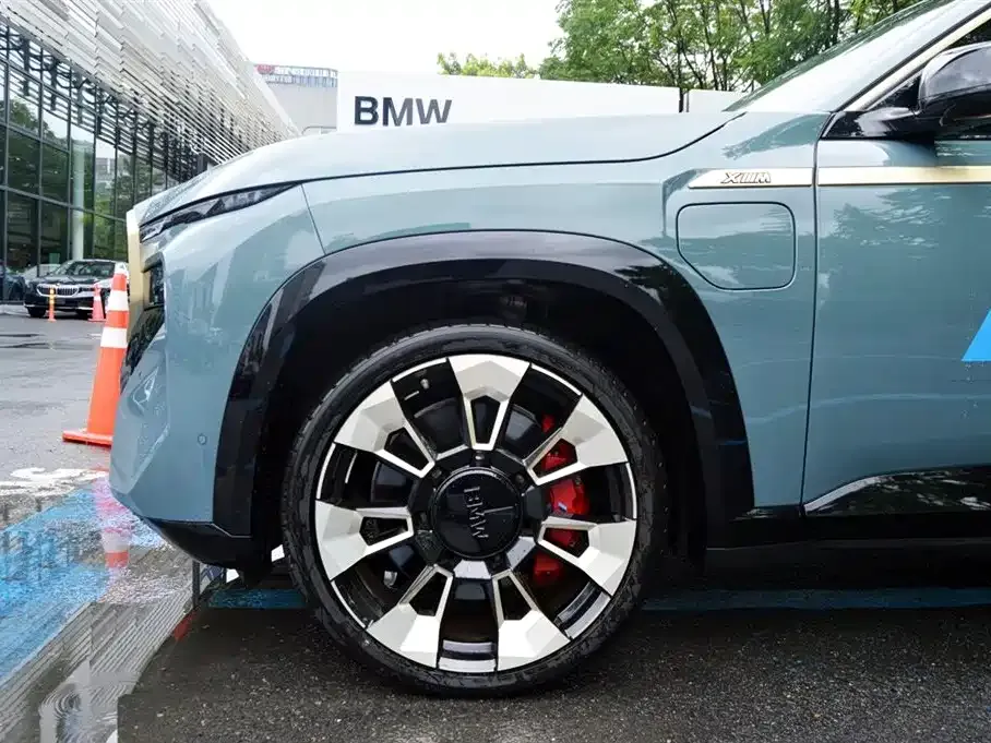 BMW XM 2024 из CN, фото 8