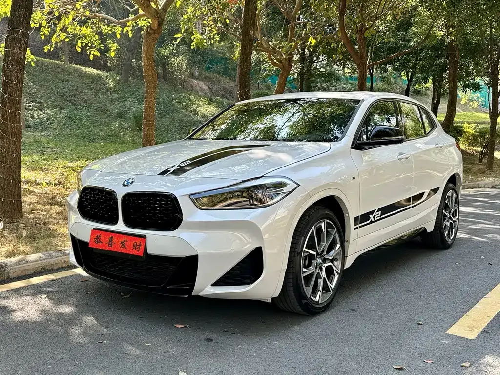 BMW X2 2022 из CN, фото 1