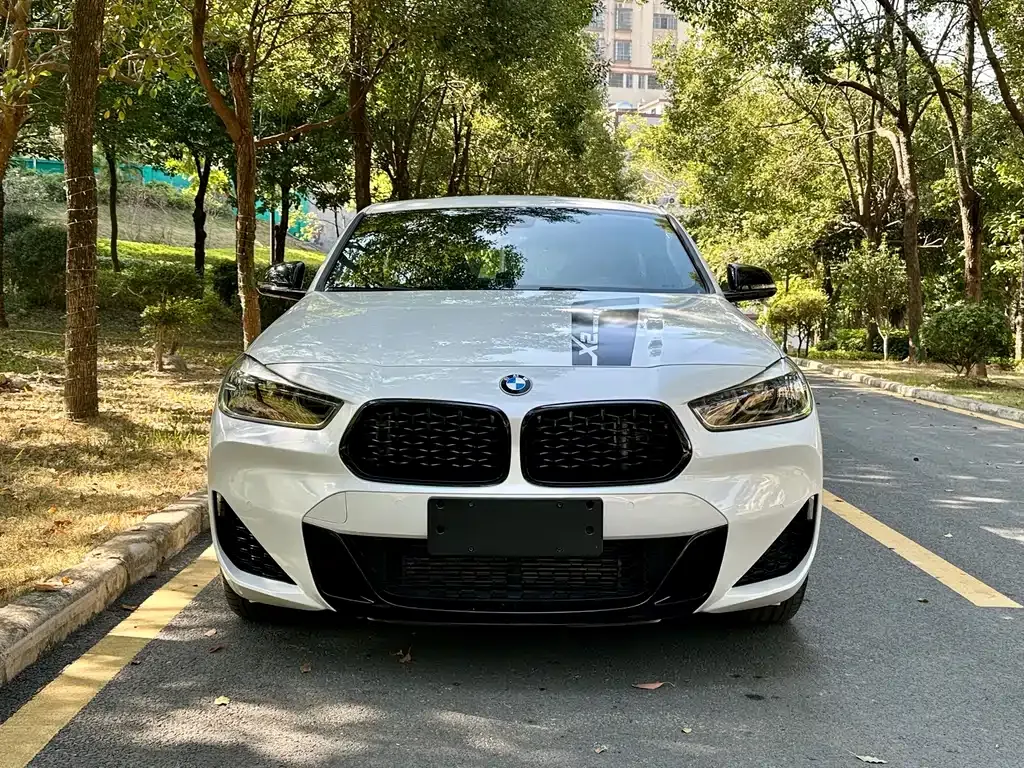 BMW X2 2022 из CN, фото 6