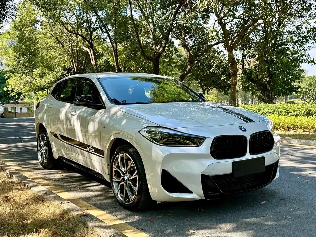 BMW X2 2022 из CN, фото 9