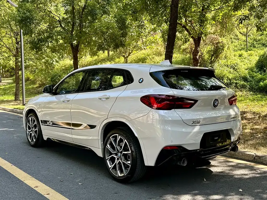 BMW X2 2022 из CN, фото 8