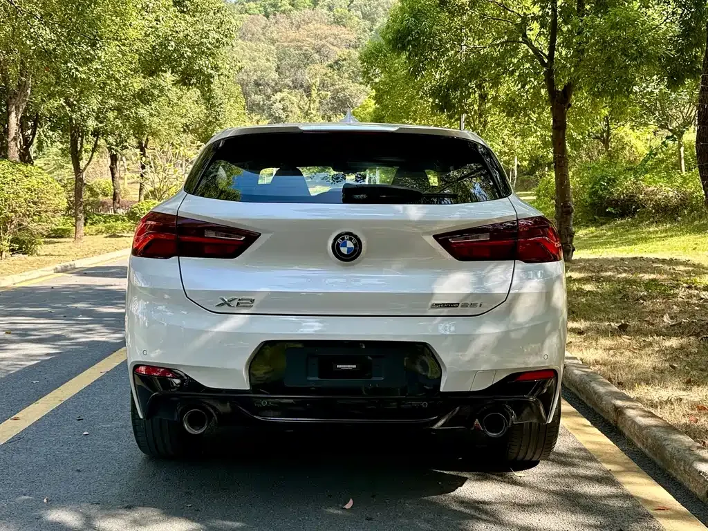 BMW X2 2022 из CN, фото 5