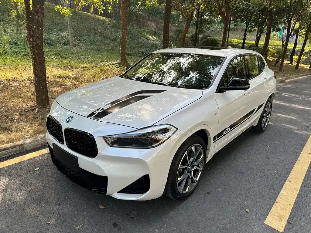 BMW X2 2022 из CN, фото 4