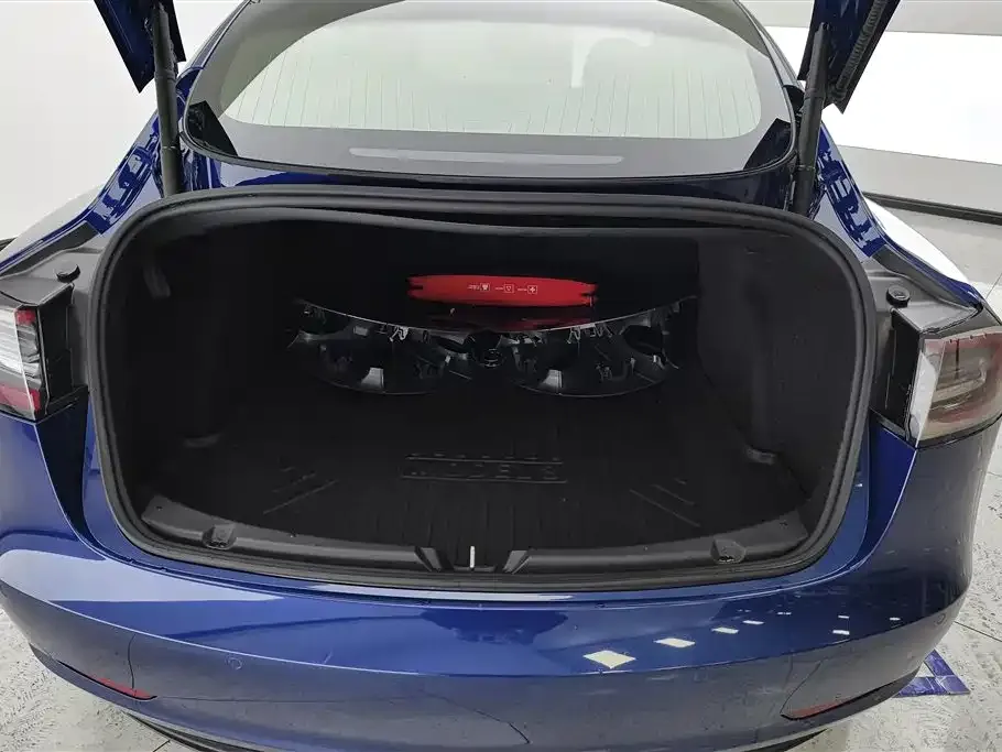 Tesla Model 3 2021 из CN, фото 4