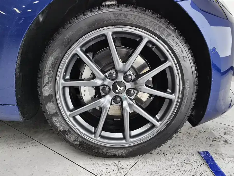 Tesla Model 3 2021 из CN, фото 6