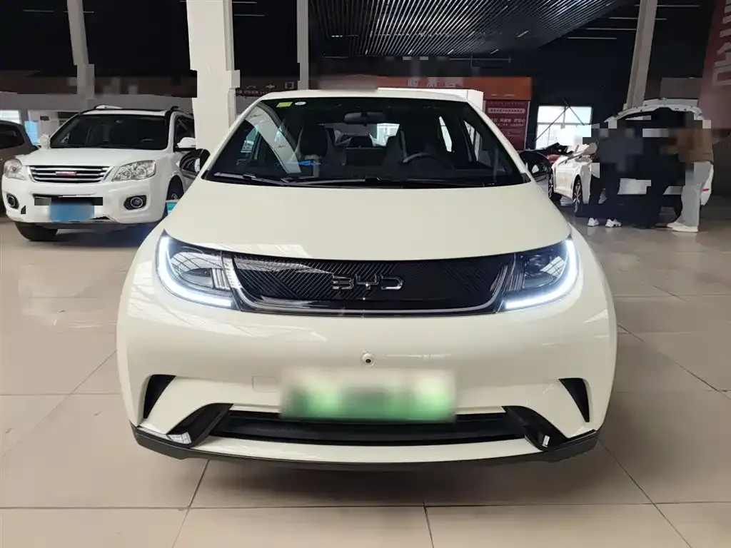 BYD Dolphin 2025 из CN, фото 3