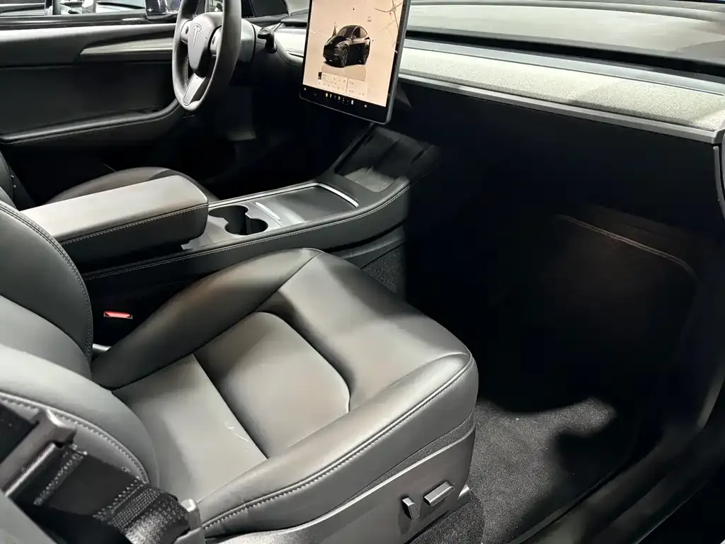 Tesla Model Y 2023 из CN, фото 4