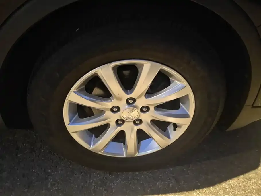 Buick Envision Plus 2021 из CN, фото 4