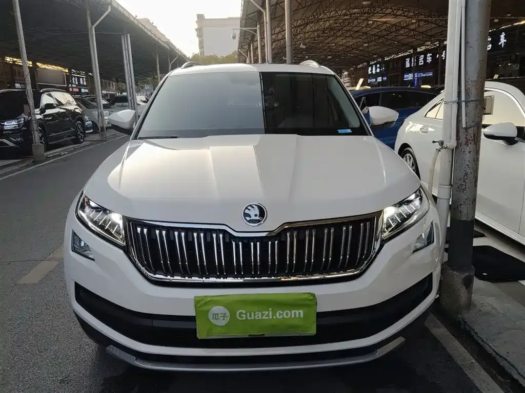 Skoda Kodiaq 2021 из CN, фото 6