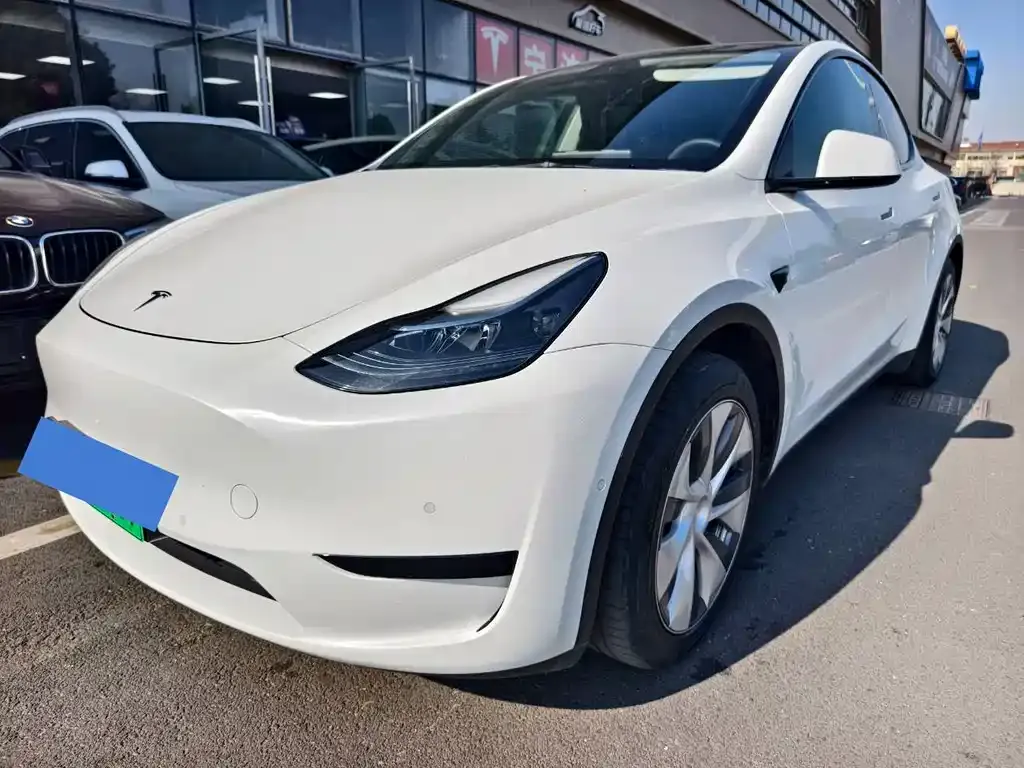Tesla Model Y 2022 из CN, фото 1