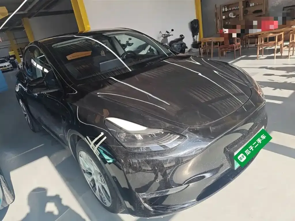 Tesla Model Y 2021 из CN, фото 6