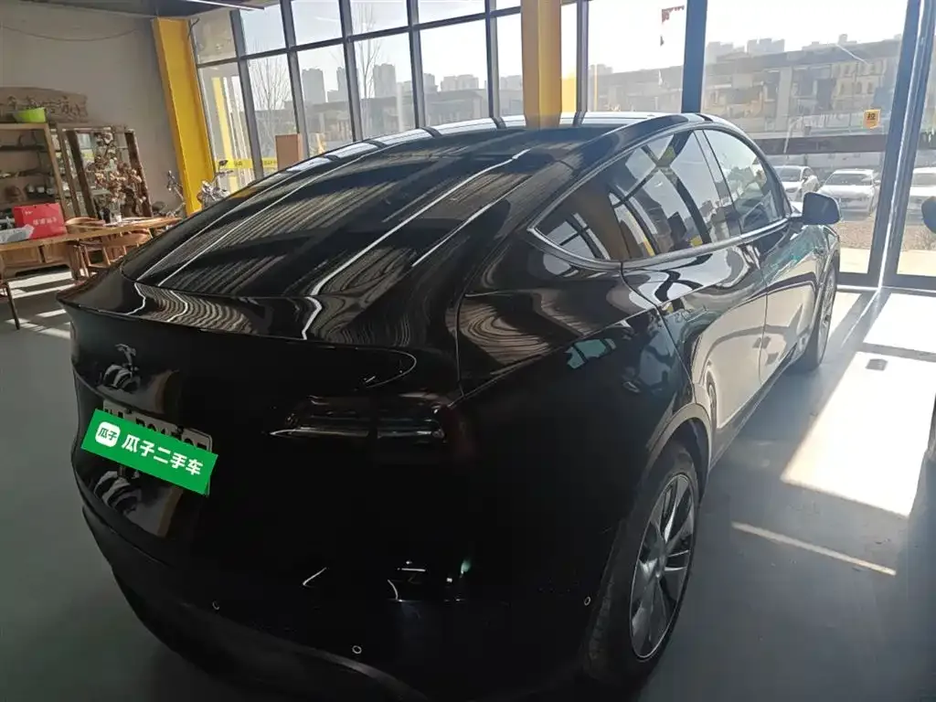 Tesla Model Y 2021 из CN, фото 7