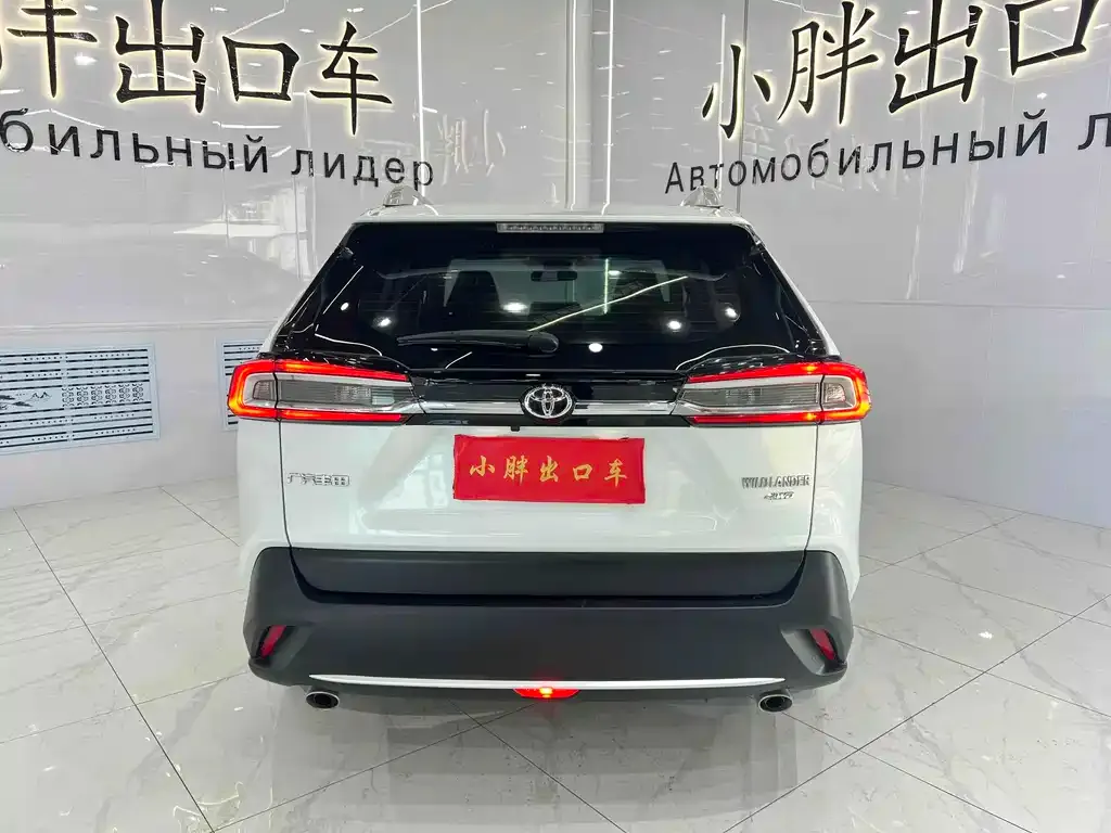 Toyota Wildlander 2021 из CN, фото 6