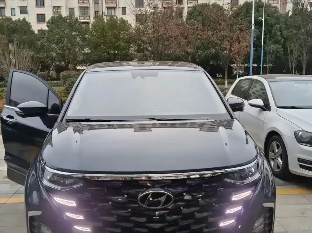 Hyundai Custo 2022 из CN, фото 3