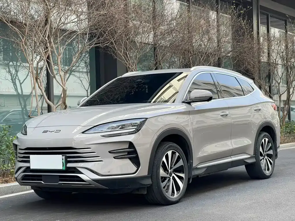 BYD PLUS New Energy 2023 из CN, фото 1