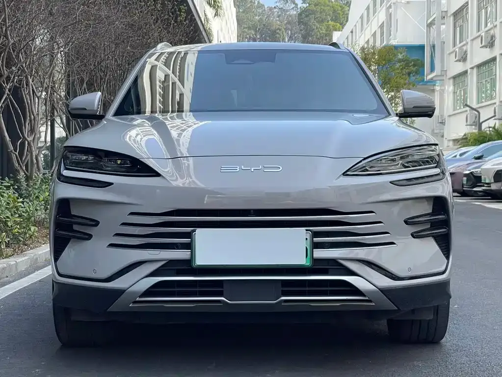BYD PLUS New Energy 2023 из CN, фото 7